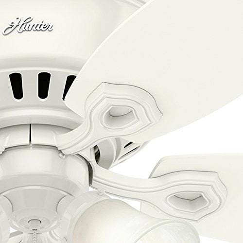 Hunter Fan 2304053 52 in. 5-Blade Ceiling Fan with Light,