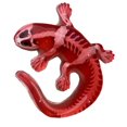 thumbnail image 3 of Dissect-It Salamander Lab, 3 of 5