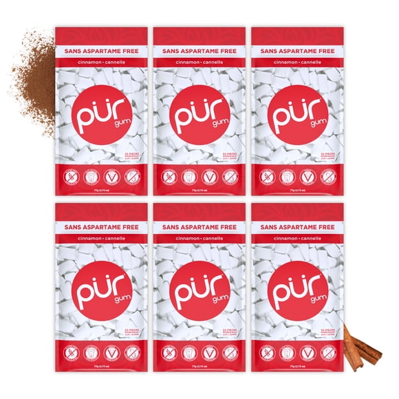 PUR Gum, Cinnamon, Aspartame Free, Sugar Free & 100% Xylitol Chewing Gum, 55 Pieces, Pack of 6