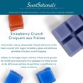 thumbnail image 3 of Cubes de cire parfumée ScentSationals - Croquant aux fraises, 3 of 4