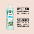 thumbnail image 3 of Suave Brise Marine Revitalisant, 3 of 3