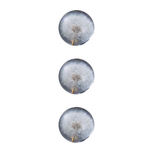 Baohd Exquisite Flower Crystal Ball Adding Elegance To Space Easily Portable Dandelions 6cm 3Set
