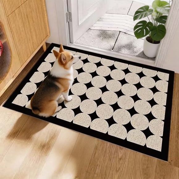 Decor Doormat Rug,Doormat Indoor Entrance Welcome,40-60Cm Stain- Doormat Entrance Rug Suitable For Indoor And Outdoor Household Use