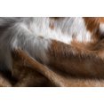 thumbnail image 2 of Natural 676685001214 6 x 7 ft. Kobe Cowhide Rug - Brown & White, 2 of 2