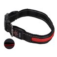 thumbnail image 2 of Dog LED Collar, Dog Luminous Collar Bite Resistant Metal Clip USB Charging With USB Cable For Outdoor For Dogs For Cats Red,Green,Blue, 2 of 8