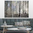 thumbnail image 3 of Design Art - Matin Sombre dans un Panorama de Forêt, 3 of 3