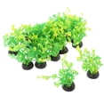 thumbnail image 4 of EIMELI 20 Pcs Pearl Aquarium Plant Live Aquatic Landscaping, 4 of 8