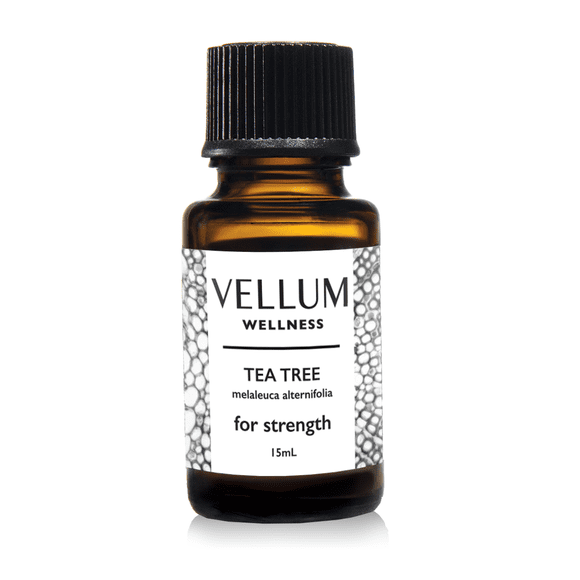 Vellum Wellness Tea Tree Essential Oil | 100% Pure, Calming & Uplifting Aromatherapy for Stress Relief, Mental Clarity & Fresh, Clean Atmosphere, 15ml