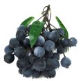 thumbnail image 1 of Faux Fruits Artificiels Réalistes Créatifs Décoratifs Faux Fruits Accessoire de Photographie, 1 of 7