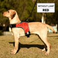 thumbnail image 2 of New K-shaped Luminous LED Harness For Pet Dog Chest Harness For Medium And Large Dogs Night Travel, 2 of 7