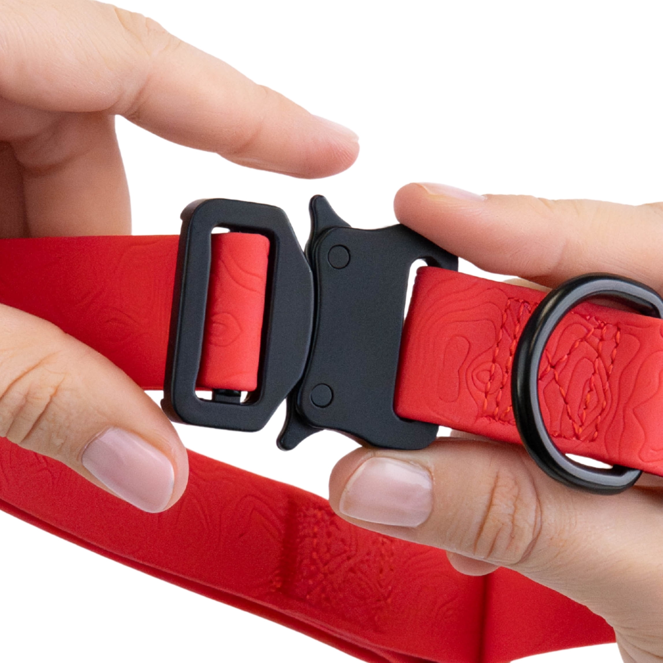 One Paw, Un collier pour chien en Silicone avec boucle métal, hydrofuge, plusieurs tailles.