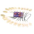 thumbnail image 1 of Oefntac up to 40% off Gifts Halloween Decorations Halloween Decorations LED Lanterns Ghost Festival Mood Lights Ghost Hand Battery Box Skull Light String, 1 of 5