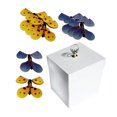 thumbnail image 2 of KLKCMS Butterfly Gift Box Creative for Father's Day Wedding Anniversaries White, 2 of 9