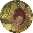 thumbnail image 1 of Ahgly Tapis Rond Lavable en Machine Intérieur Caramel Brun Transitionnel, 7 Pieds Rond, 1 of 7