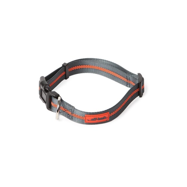 Collier à Laisse Dégagée Grand