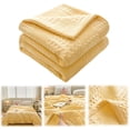 thumbnail image 2 of Cooling Blanket Bedding Pure Cotton Blanket Lightweight Warm Blanket Soft And Breathable Wrinkle Resistant 59x79IN Summer Comforter Queen Size Plush Throw Blankets for Bed, Couch and Sofa, 2 of 8
