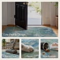 thumbnail image 4 of KUETH 5'x7' Area Rugs for Living Room, Machine Washable Rugs, Non Slip Vintage Lightweight Indoor Rug, Ultra Thin Low Pile Chenille Print Rug for Bedroom Dining Room Home Office, 4 of 8