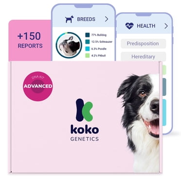 Koko Genetics Test d'ADN pour Chien / Advanced Range / 175 Races, Rapports sur la Santé et les Traits / Honoraires Inclus