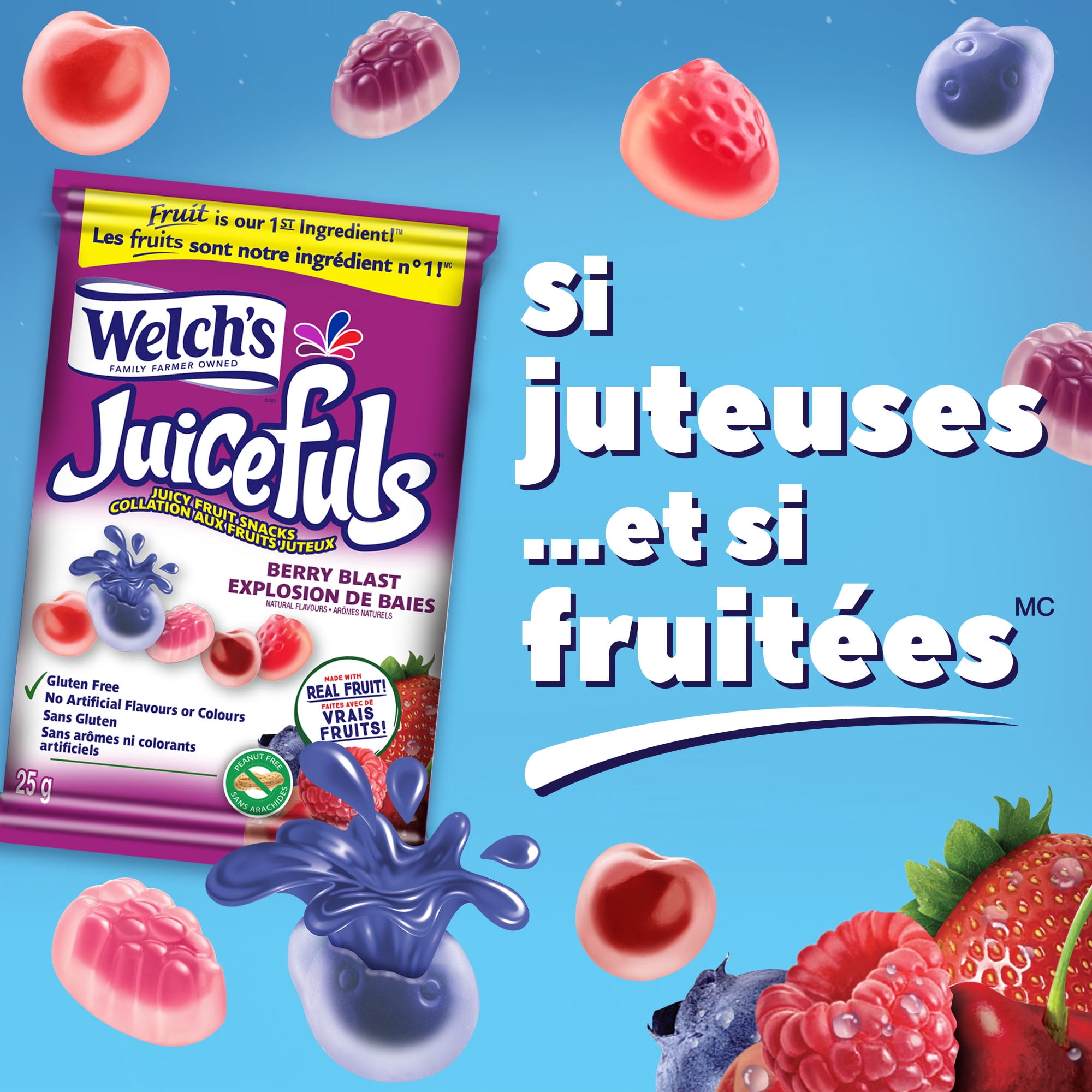 Welch's Collations aux Fruits, Explosion de Baies, Boîte de Collations de 6 Sachets, Collations Sans Gluten