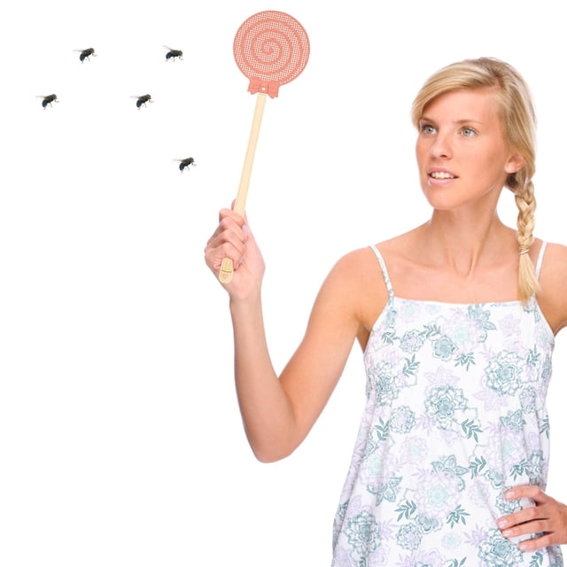 Yhmxh Swatter Telescopic Flyswatter Large Swatters That Work For Indoor And Outdoor