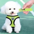 thumbnail image 3 of Cat Walking Chest Strap Drawstring Nylon Material Escape Proof Adjustable Soft Mesh Reflective Strip for Small Cats Puppies Medium Sized Cats, 3 of 4
