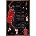 thumbnail image 1 of Michael Jordan - Timeline Wall Poster, 22.375" x 34" Framed, 1 of 4