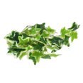 thumbnail image 2 of Senjay Artificial Reptile Plant, Lifelike Plastic Plant Soft For Fish Tank For Reptiles Terrarium, 2 of 8