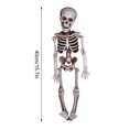 thumbnail image 3 of Boovnll Skeleton, Halloween Spooky House Dress Up Simulation Skull Skeleton Ghost Trick Props, Halloween Decorations, Halloween Skeleton, Skeleton Decor, 3 of 5