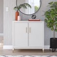 thumbnail image 1 of CosmoLiving by Cosmopolitan Westerleigh, armoire d'appoint à 2 portes, noir, 1 of 8