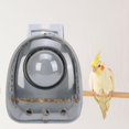 thumbnail image 2 of GROWTH TANK Backpack Carrier Visible Adjustable Parrot Backpack Travel Bag for Outdoor Grey, 2 of 9