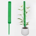 thumbnail image 1 of Chmadoxn Seedling Tray Moss Column Green Ivy Stick Water Moss Column Climbing Tool Plastic Moss Climbing bracket, 1 of 4