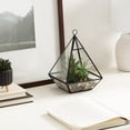 thumbnail image 2 of DesignOvation 9"H Tabletop Glass Terrarium with Artificial Succulent Trio, 2 of 8