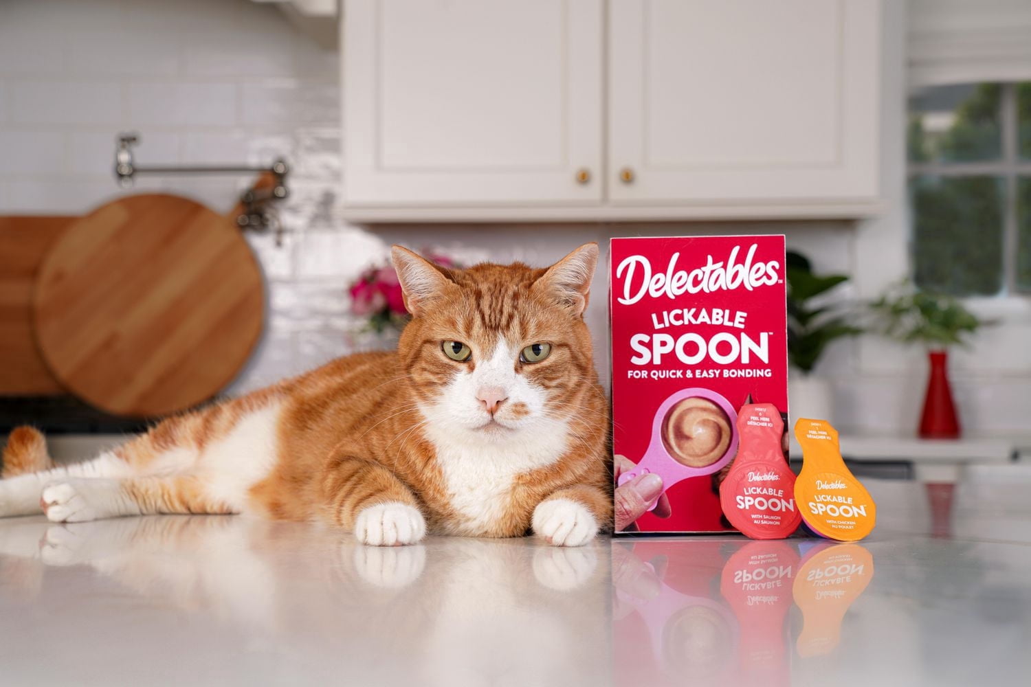 Delectables Cuillère à Lécher Poulet et Saumon Gâterie Humide pour Chat Lot de 20