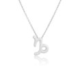 thumbnail image 1 of stanreset Constellation Theme Friendship Necklace Creative Comfortable Ins Exquisite Durable Rust-proof Lightweight Fashion Accessory Capricorn Silver, 1 of 6