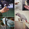 thumbnail image 3 of Bird Foot Stand Chain Stainless Steel Parrot Foot Chain Bird Supplies, 3 of 9