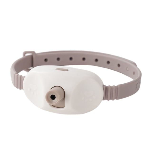 Interactive Smart Cat Collar with Wearable LED Lights for Indoor Exercise and Amusing. The collar features a beige adjustable strap and a white central unit with a built-in LED light pointer. Designed to stimulate cats' natural instincts, it promotes physical activity and mental enrichment indoors. Made from durable materials for comfort and resilience during play sessions.