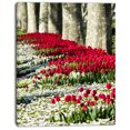 thumbnail image 2 of Fleurs de Tulipe Sauvages dans un Pâturage Forestier - Impression sur Toile Florale, 2 of 3