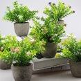 thumbnail image 4 of Decodeary Green Eco-friendly Artificial Money Tree In Pot Long-lasting Durability Realistic Appearance new blue babysbreath 1Set, 4 of 6
