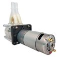 thumbnail image 1 of Peristaltic Pump, Water Pump, Dosing Pump, Dual Pump Head, 12V 24V DC, High Flowrate For Aquarium Lab Analytical ,Easy to Use, 1 of 6