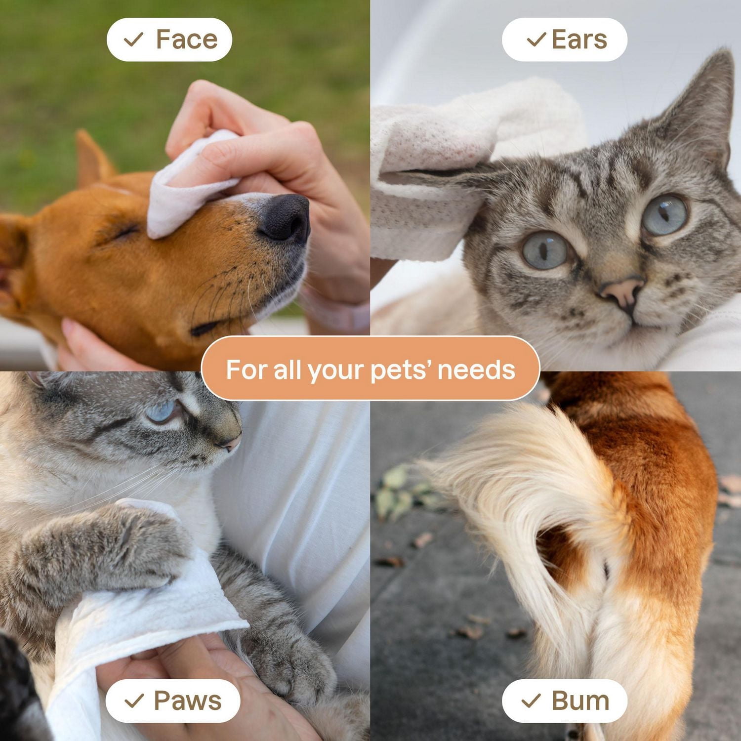 ATTITUDE Furry Friends Lingettes de Bain Sans Odeur pour Chiens & Chats, Soins Désodorisants pour Animaux, 72 Lingettes