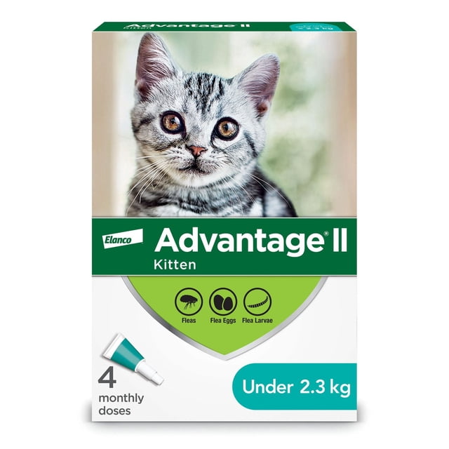 Advantage II Traitement Antipuces pour Chatons Emballage Montrant un Gros Plan d'Un Chaton Tigré Gris aux Yeux Ambrés, avec Quatre doses Mensuelles Topiques pour Chatons de Moins de 2,3 kg, Conçu pour Tuer les Puces, les Oeufs de Puces et les Larves de Puces par contact Sans Morsure.