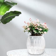 Dadatutu Flower Pot Self Watering Planter Violet Pots Clear Plastic Automatic Watering Planter Flower Pot Pot for All House Plants Flower Stands, Self-Watering Planter for Plants
