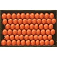 thumbnail image 4 of Tomato, Roma, Sold in singles, 0.10 - 0.14 KG, 4 of 4