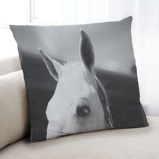 Ahgly Company Animals Horse Coussin Intérieur, 18 Pouces par 18 Pouces