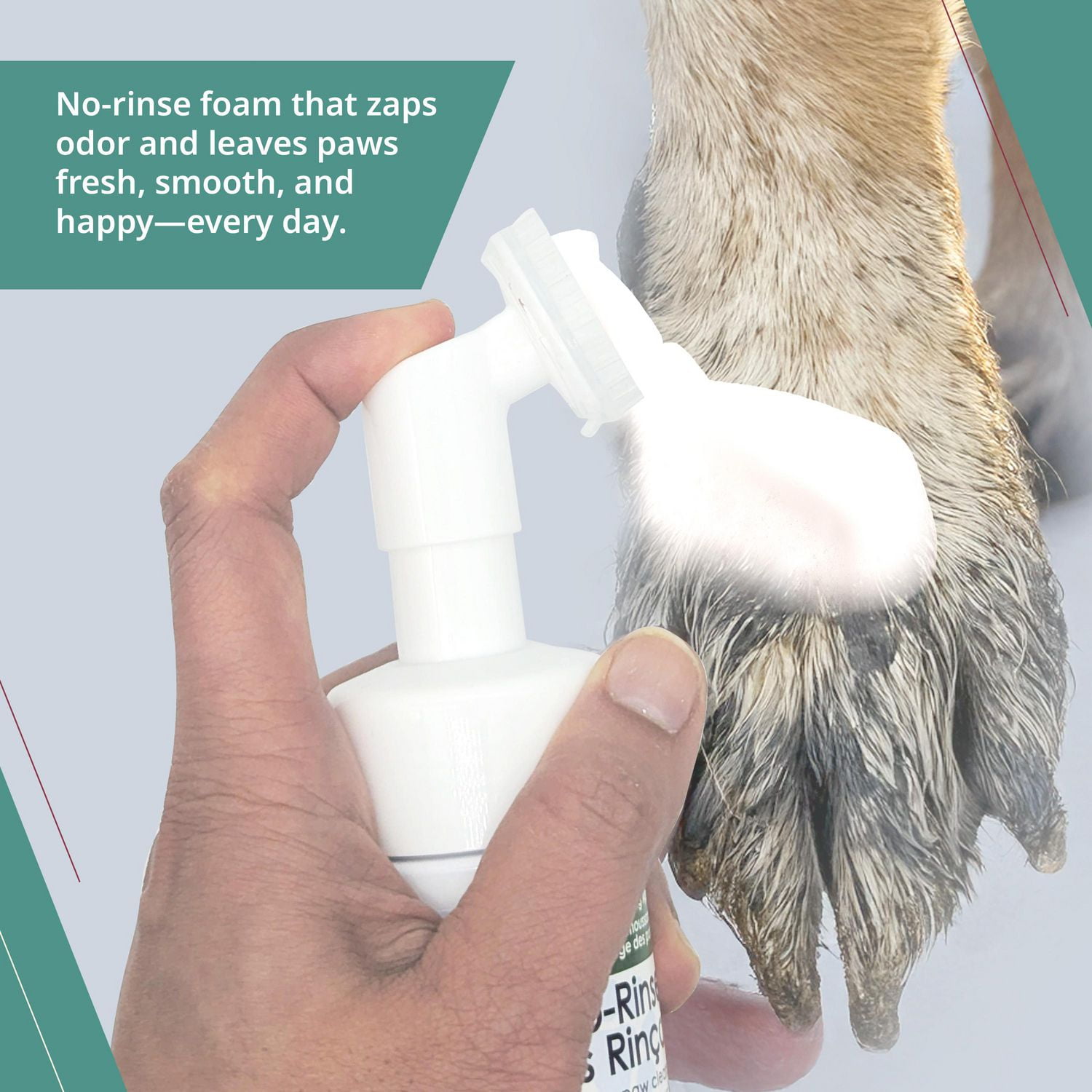 Wahl Probiotic Paw Cleaner – Solution moussante sans rinçage avec brosse, aloès et flocons d'avoine pour des pattes de chien propres et hydratées – Modèle 58549