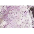 thumbnail image 2 of Natural 676685045829 6 x 7 ft. Scotland Cowhide Rug - Grey, Pink & Silver, 2 of 2