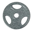 thumbnail image 1 of GoZone Grip Weight Plate – Silver, 1 of 3