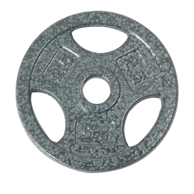 GoZone Grip Weight Plate – Silver with a semi-gloss textured finish and three cut-out handles, embossed 2.5 lb markings, designed to fit standard 1-inch barbells for versatile strength training and hand lifting.