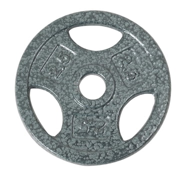 GoZone Grip Weight Plate – Silver