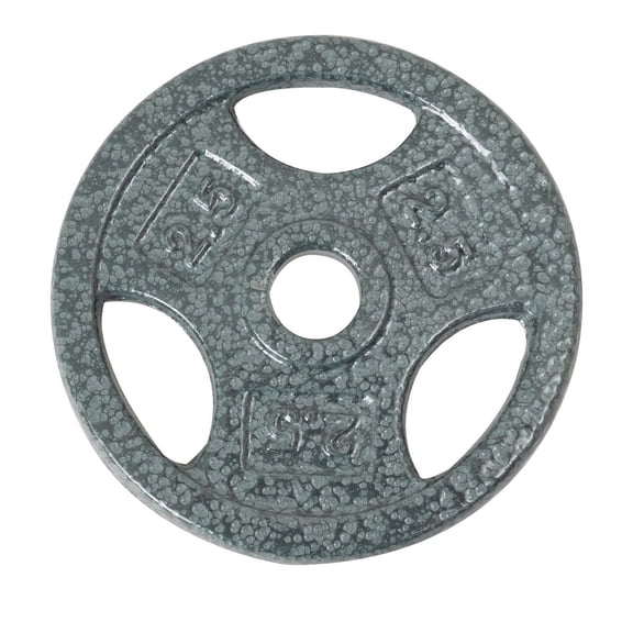 Disque de musculation avec prises GoZone – Argent